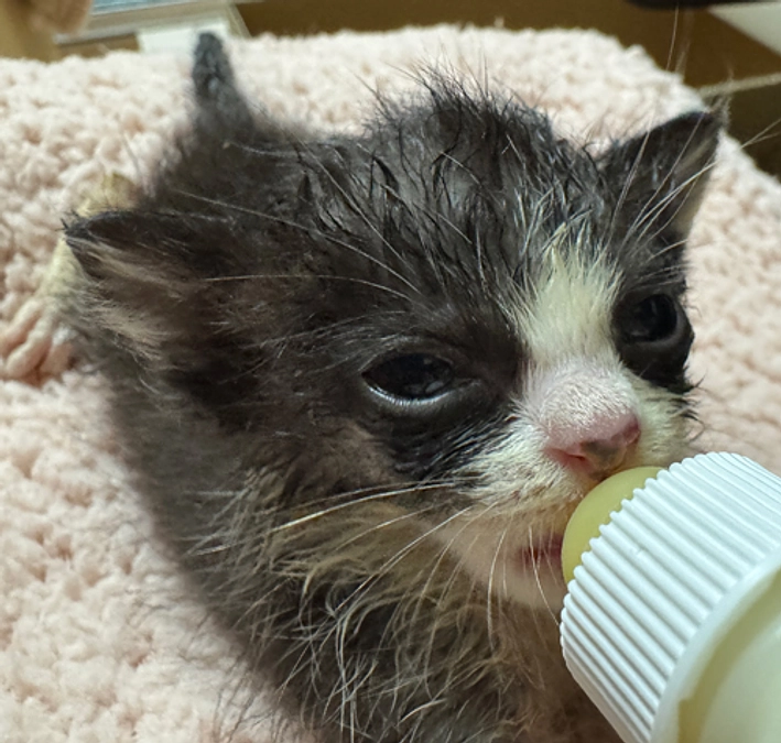 たくさんのご支援、感謝です！