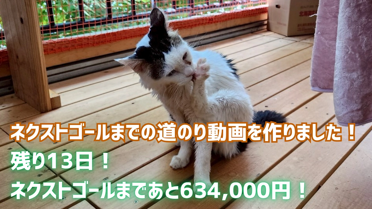 残り13日！ネクストゴールまであと634,000円！～ネクストゴールまでの道のり動画を作りました！