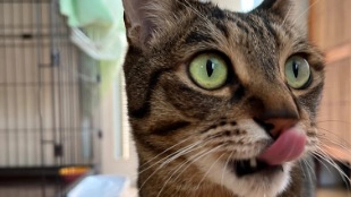 【今日のなっちゃん】6月17日