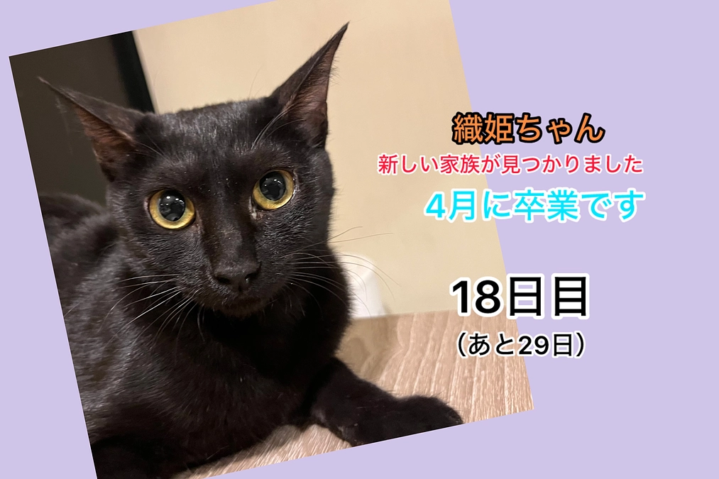 サプリメントは大事みたいです。其の二（3/2 18日目）