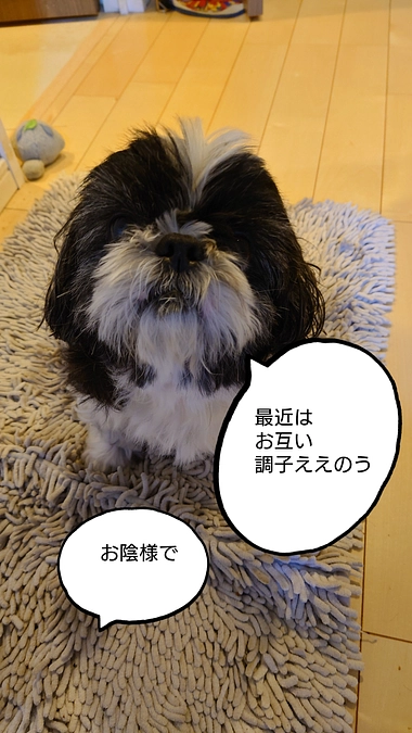 本日もたくさんのご支援頂きました。