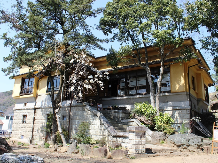 トラスト・エール　スペシャルウィーク④　NPO法人“矢中の杜”の守り人（茨城県つくば市北条地区）