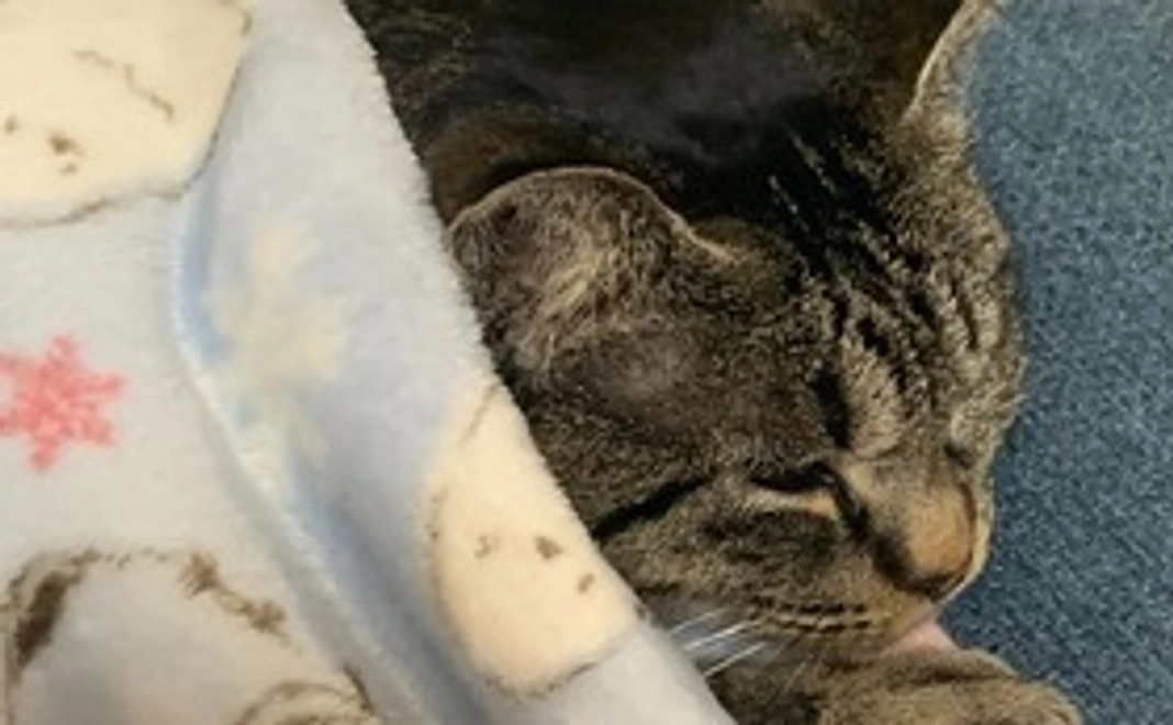 メッセージ入り写真と感謝のメール