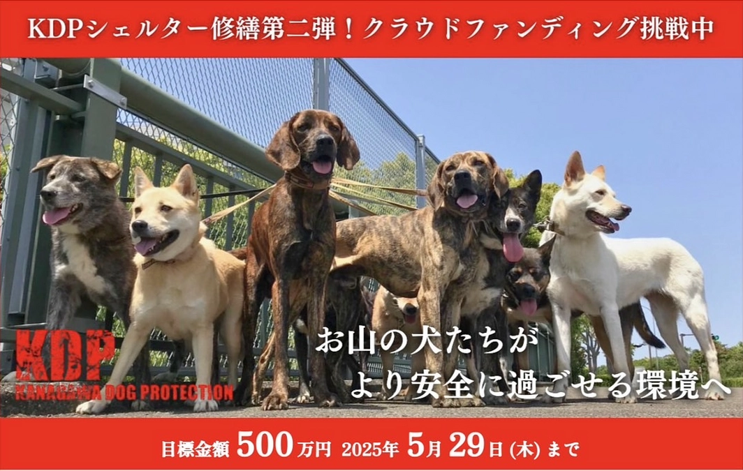 614名の沢山の皆様へ