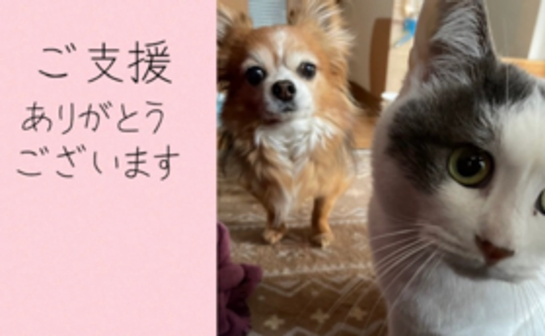 ソラへのご支援ありがとうございます①