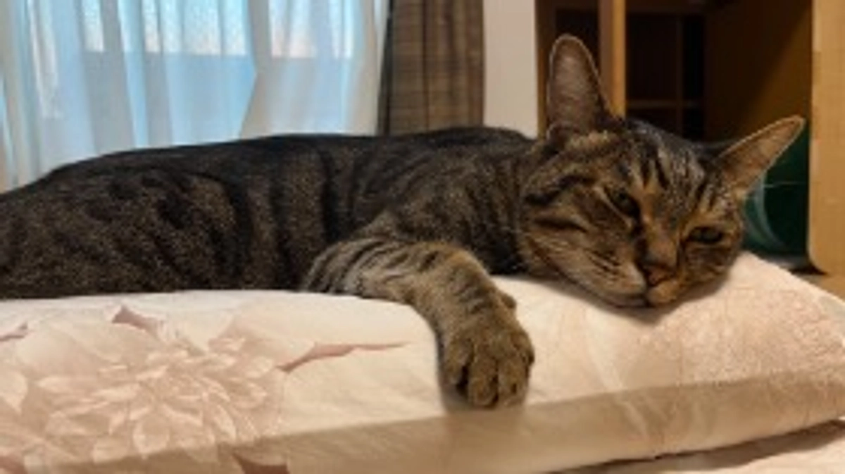 【なっちゃんの異変】6月22日