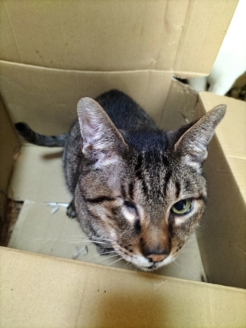 本当に本当にありがとうございます！！