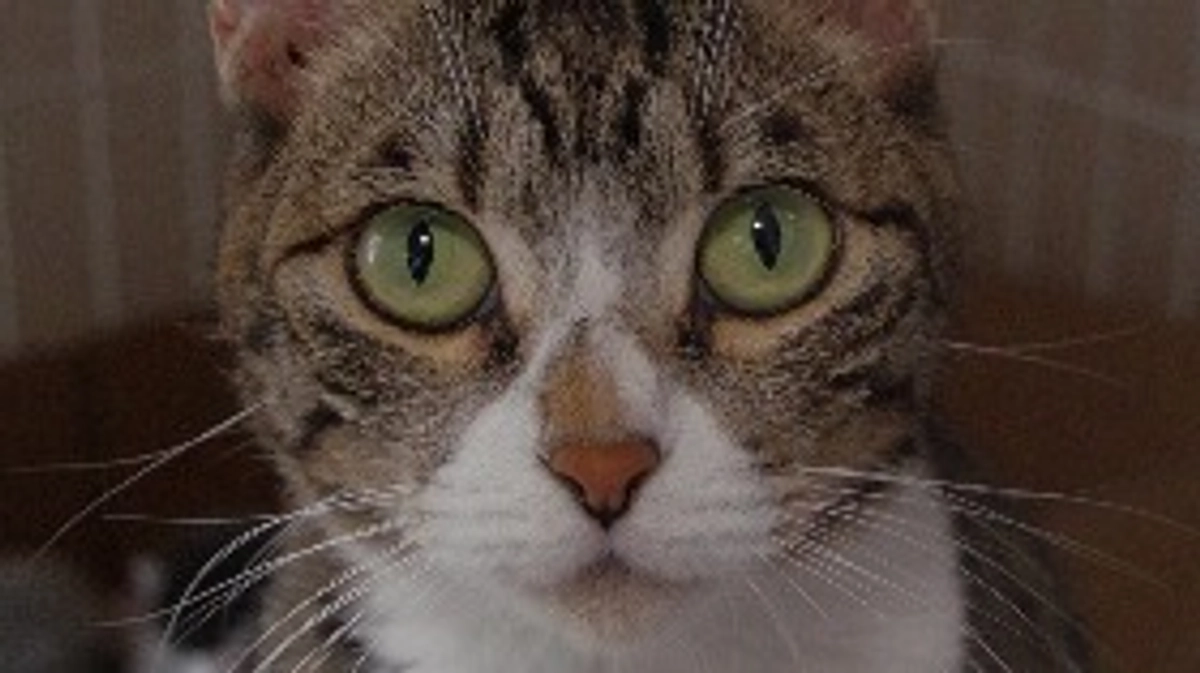 まりひめをバトンタッチしました。