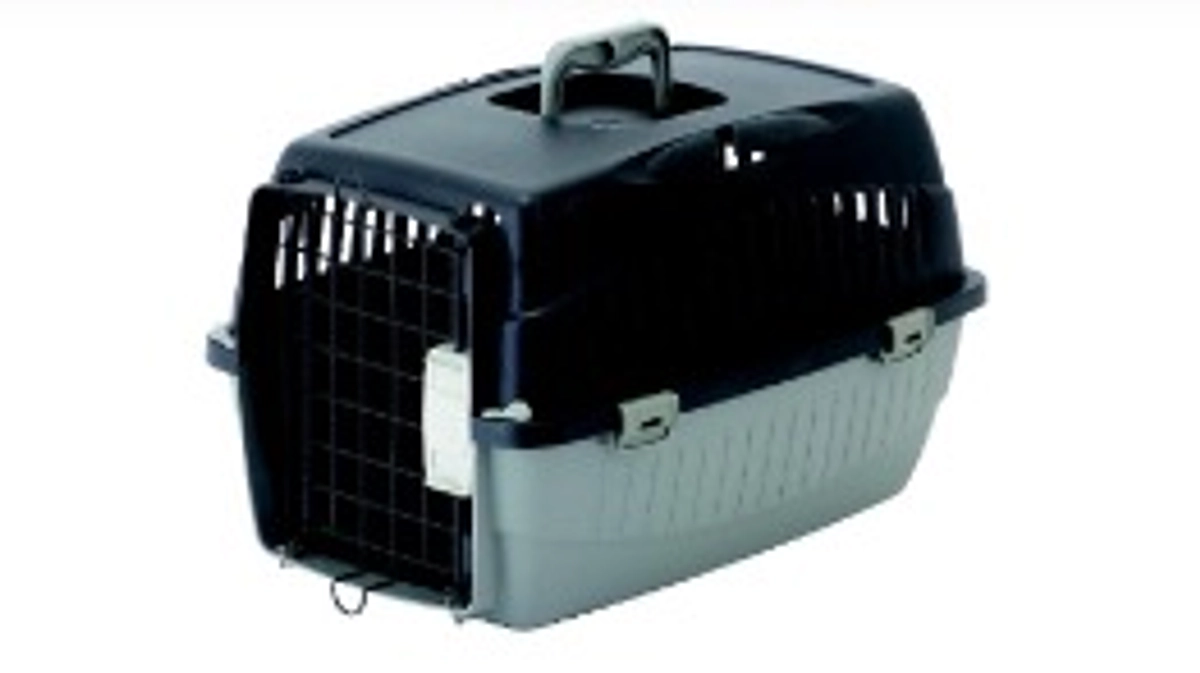 最後のお願いです。