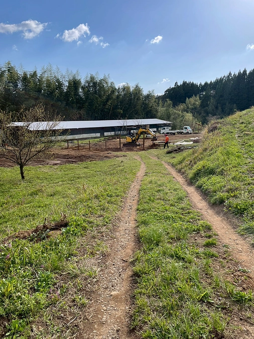 未来創造フィールド進行中♡