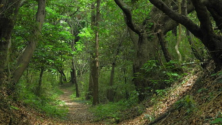 里山保全の写真集を図書館へ、次世代に里山の姿を伝えたい！