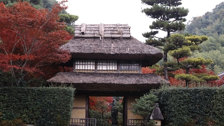 登録記念物庭園「いばらき門」の萱葺きを改修したい