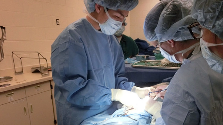 米国獣医専門医取得を目指す若き獣医師を応援したい！