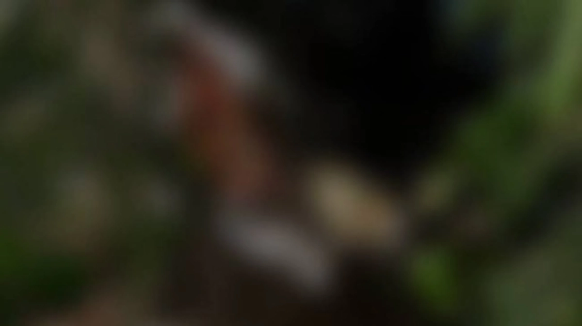 たった今、緊急で様子を見に行ったところ