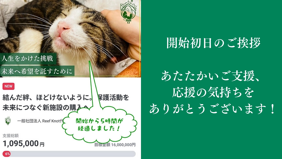 本日3月25日12時から5月23日23時までの59日間のプロジェクトへの挑戦が始まりました！