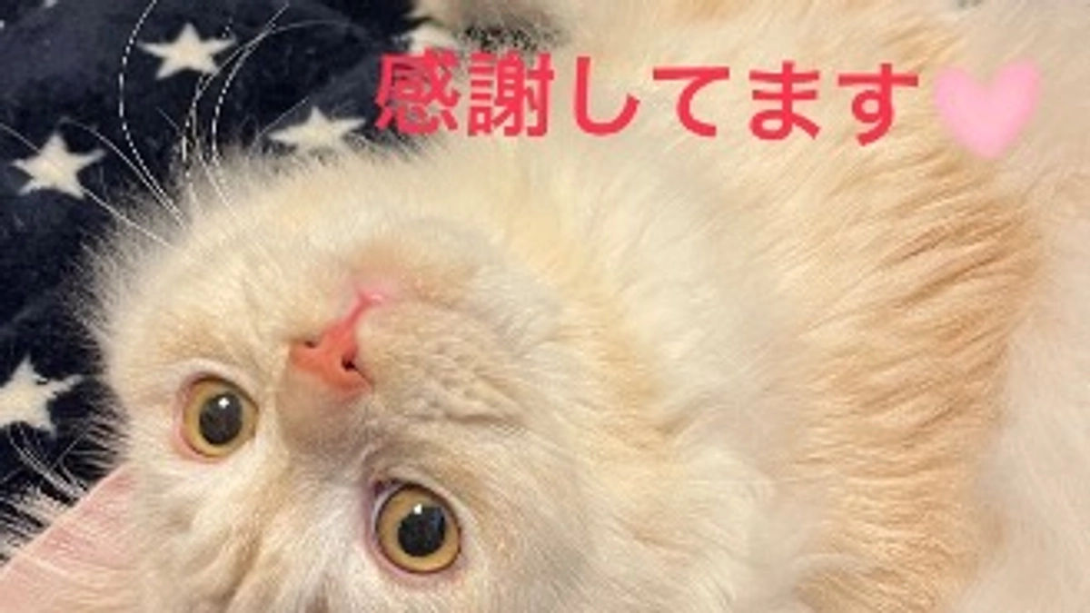 ご支援をいただきました！