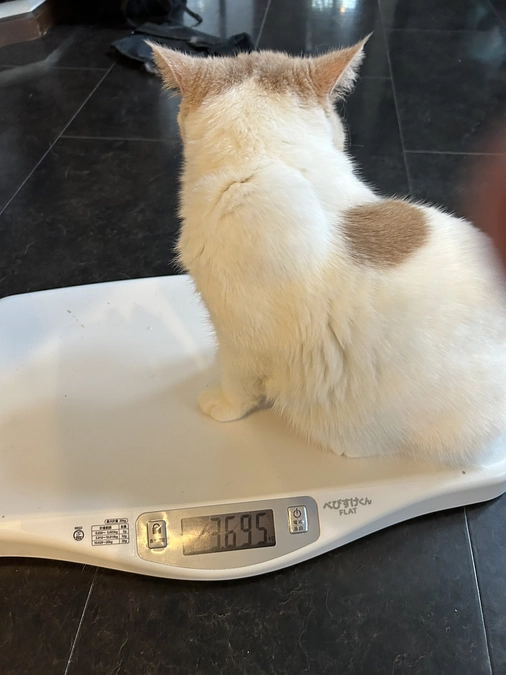 リターンについてお知らせ⋆͛📢⋆