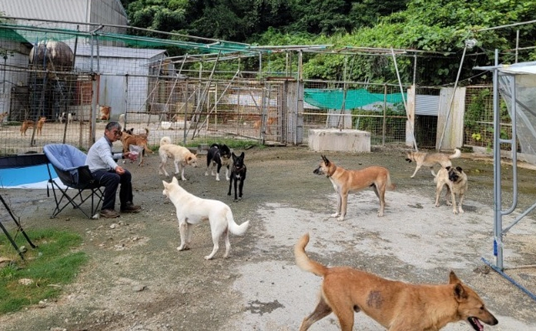 全力応援コース｜1万円