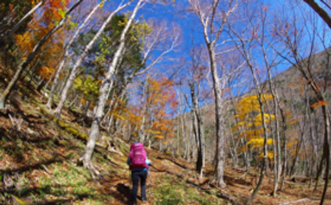 サンクスメールとHPにお名前掲載!