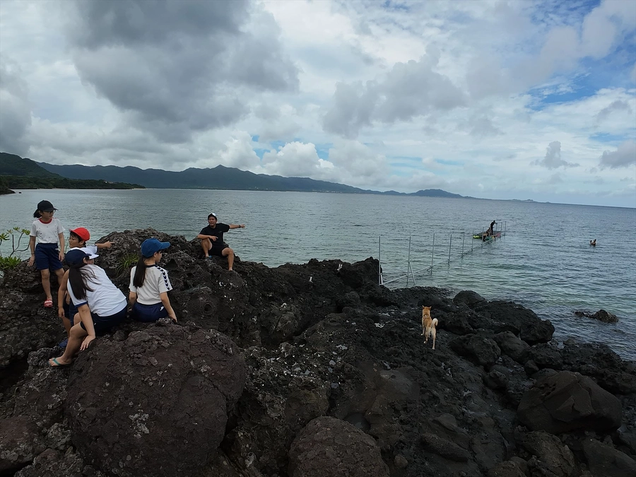 本日がクラファン最終日です