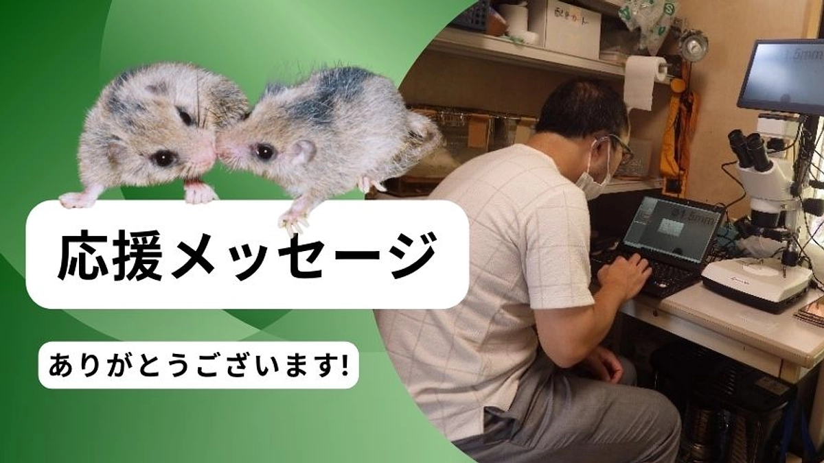 岡山理科大学 理学部 動物学科 講師　布目三夫先生からの応援メッセージのご紹介