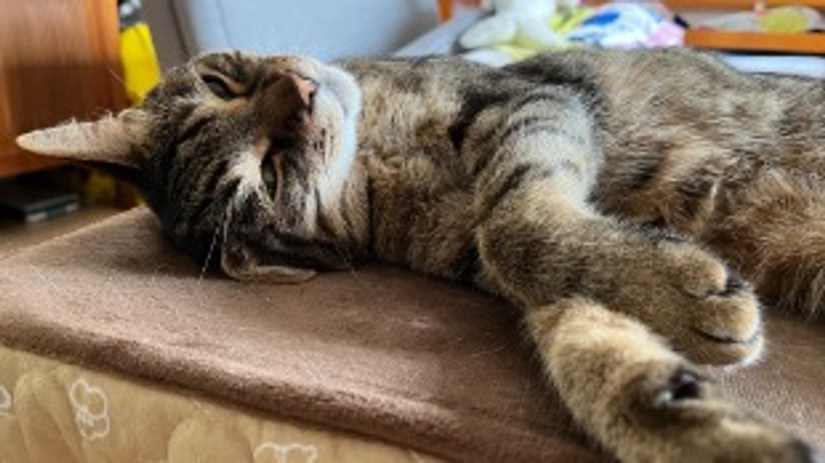 【今日のなっちゃん】5月22日