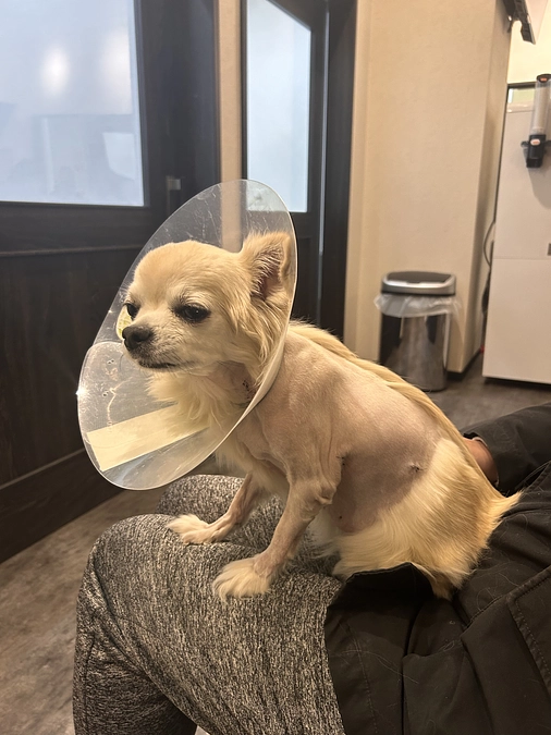 達成しました！ありがとうございます！