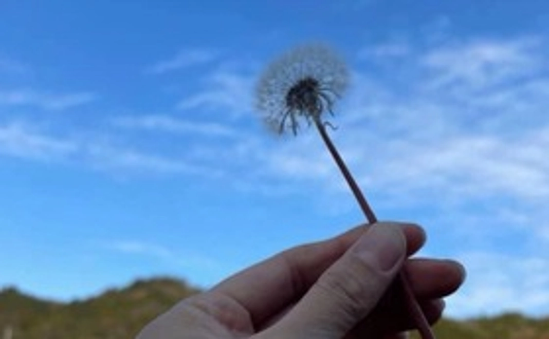 ニュースレター付きサンクスメールA