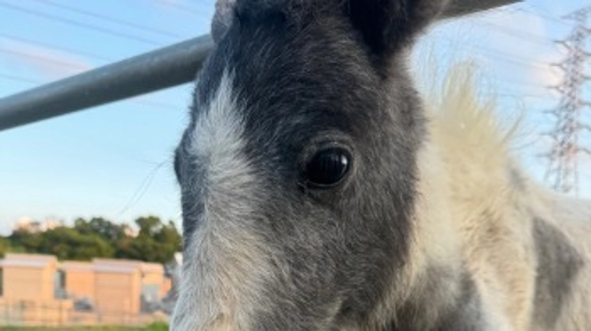 【祝50%突破！】ご支援の御礼と応援コメントのご紹介！