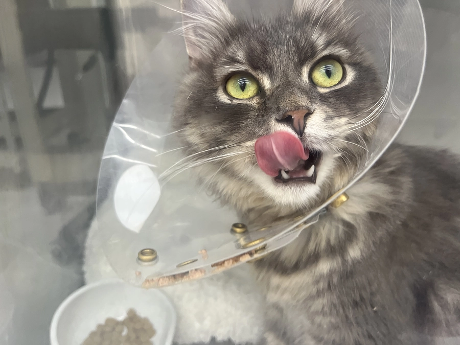 9/18 定期検査結果