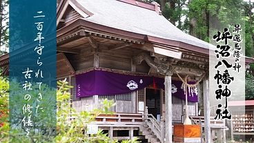 ー 千年の杜に佇む朽ちた社殿の修繕を ー 坪沼八幡神社 のトップ画像