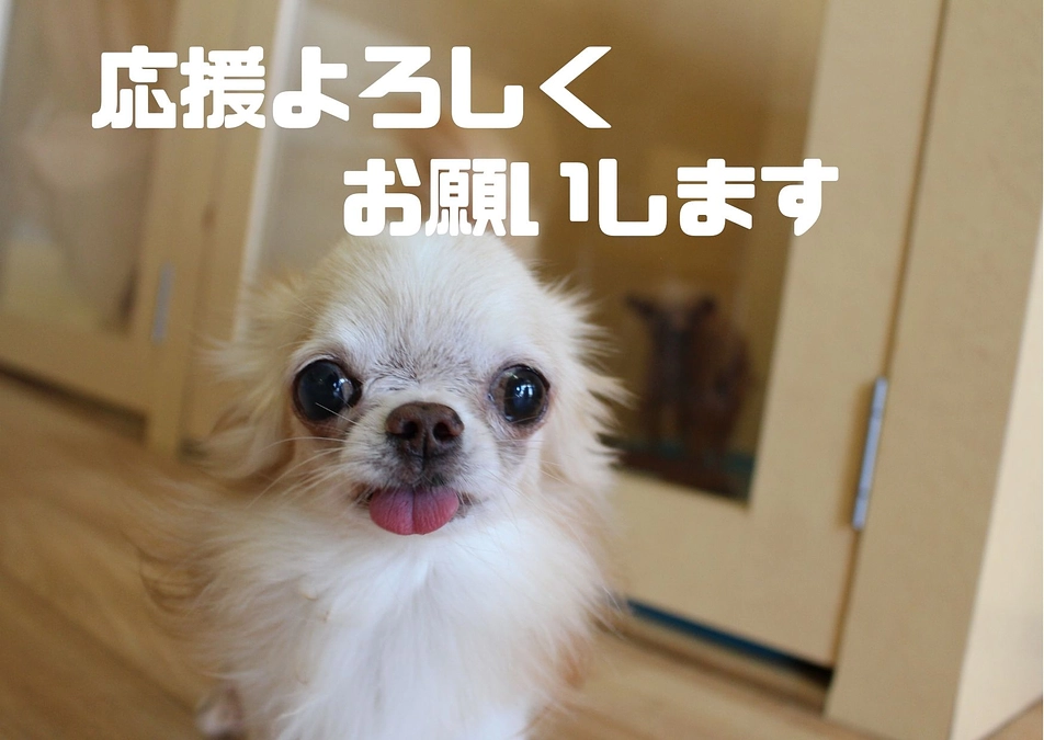 明日12/8（金）23時終了です！！