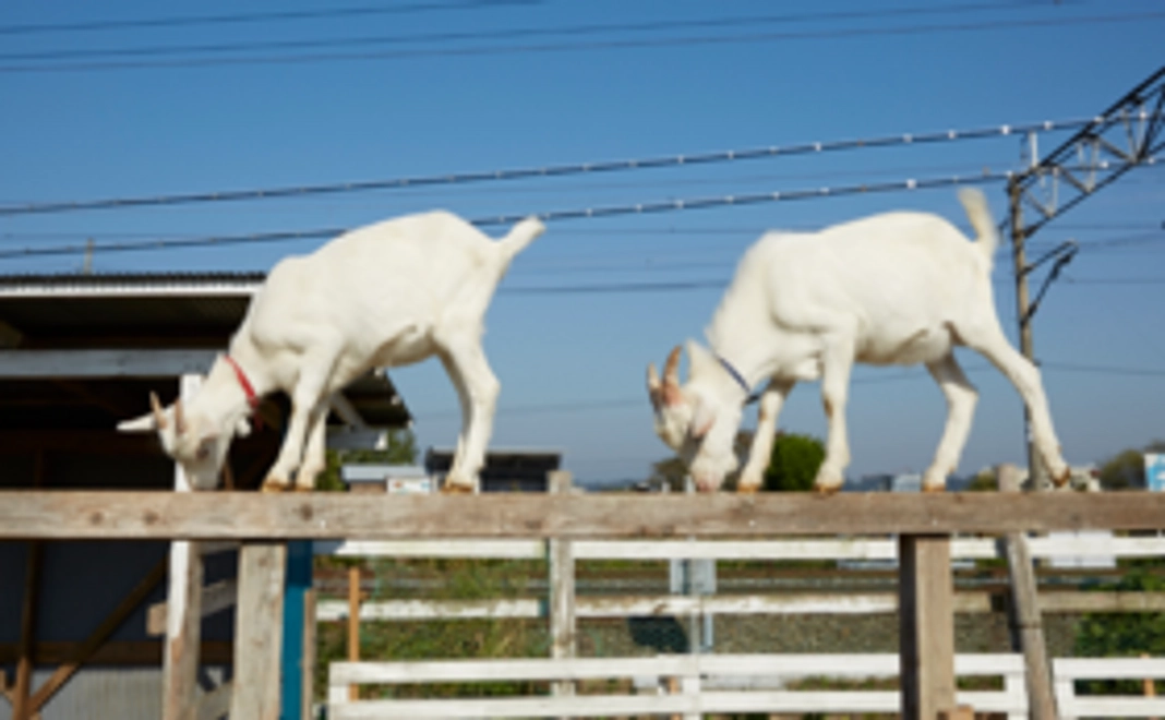 御礼のお手紙＆農園の状況お知らせページヘの招待