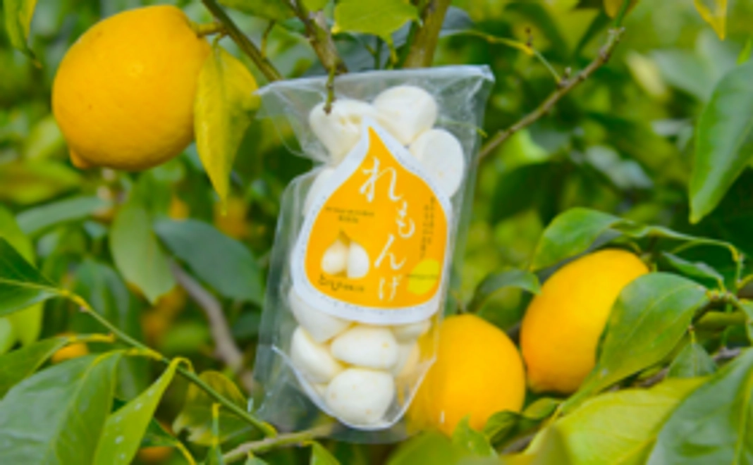 ‖最高に美味しい!柑橘を使った自慢のお菓子をぜひご堪能ください!