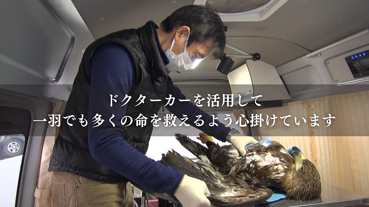 もっと多くの命を繋ぎたい!野生猛禽類の救護と継続飼育体制の充実を 2枚目