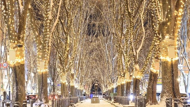 2021SENDAI光のページェント開催へ！