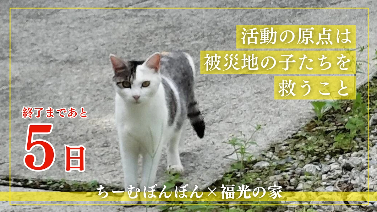 【終了まで残り5日】ご支援とともに温かい応援メッセージをいただきありがとうございます