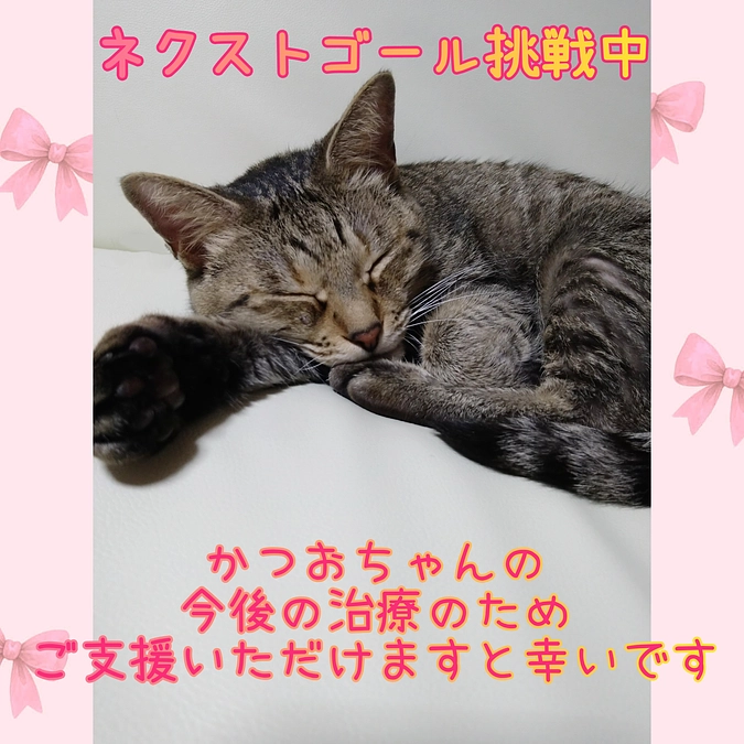 ネクストゴール挑戦致します