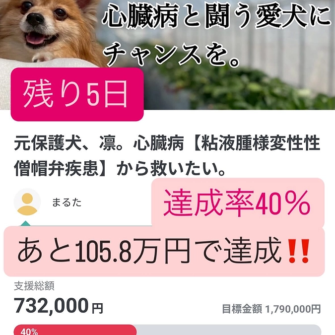 🆘残り5日達成度40％🆘