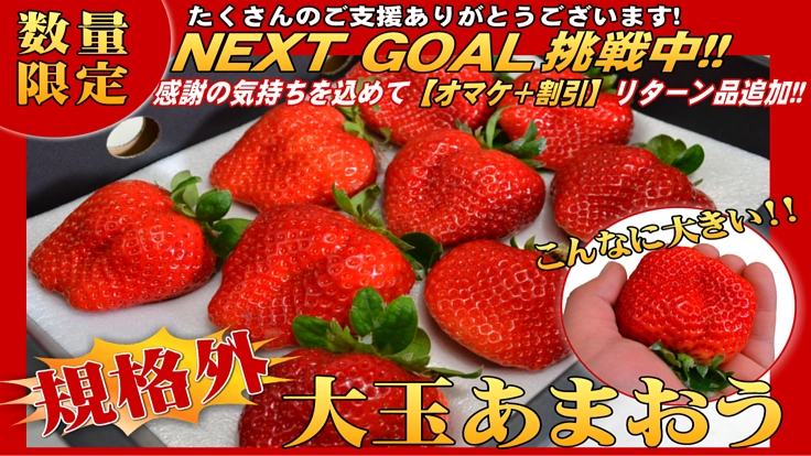 大きすぎて規格外の大玉あまおうを食べて欲しい！災害・コロナから復活