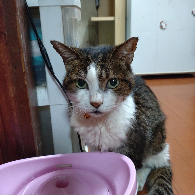 1本目　終了しました💉