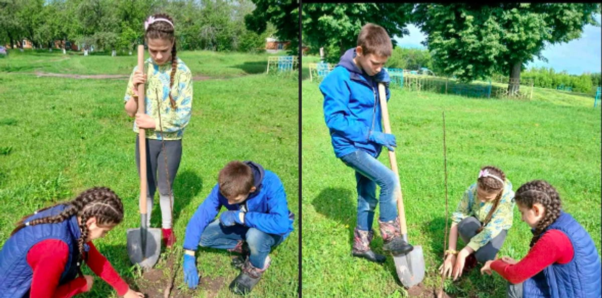 地雷ではなく桜を大地に、ミサイルではなく花を大空に