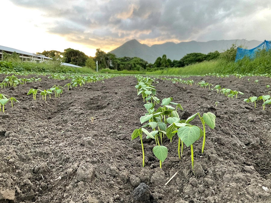 『種は地域のみんなのもの』