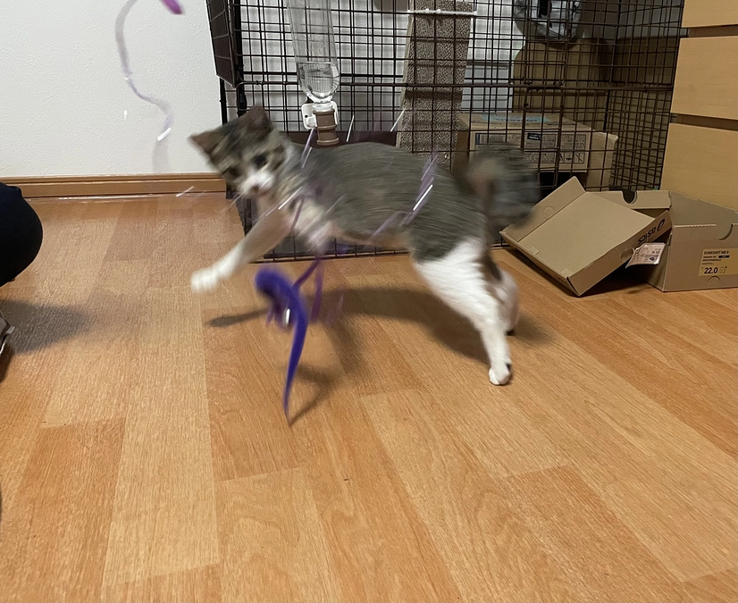 【感謝】無事に終了しました！