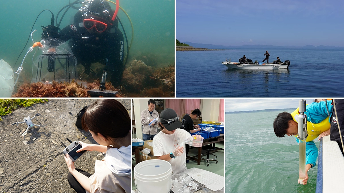 世界海洋デー ! 海を守るために理解する、わたしたちの活動