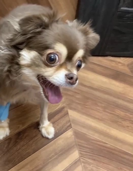 酸素室から出ました