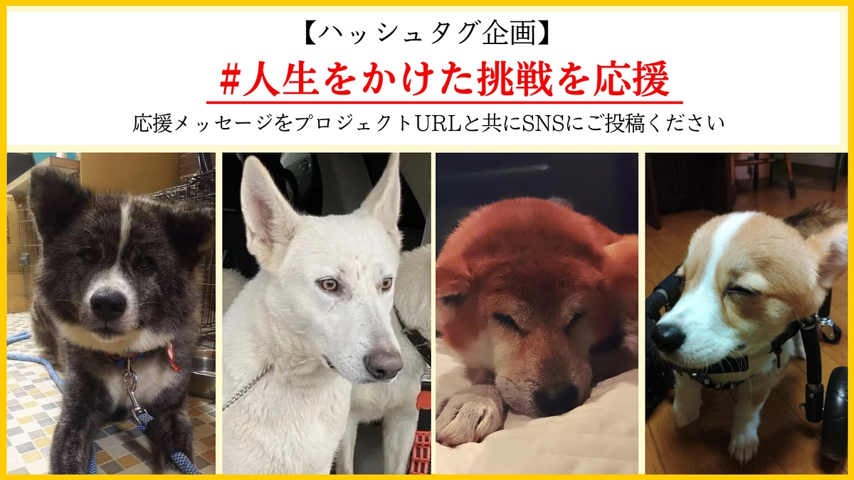 【緊・急・開・催】みんなの力を貸してください！！ハッシュタグ企画！！