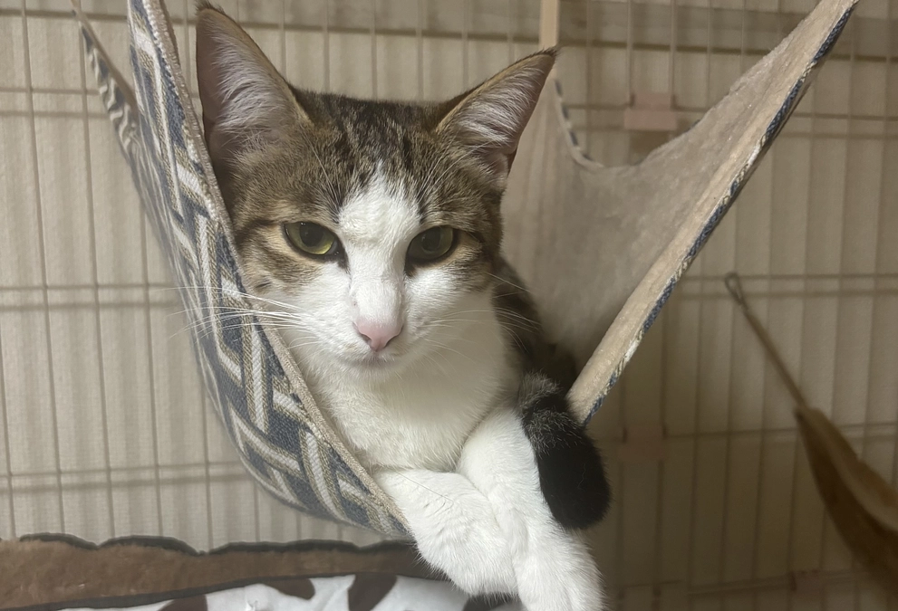 通院6回目のご報告