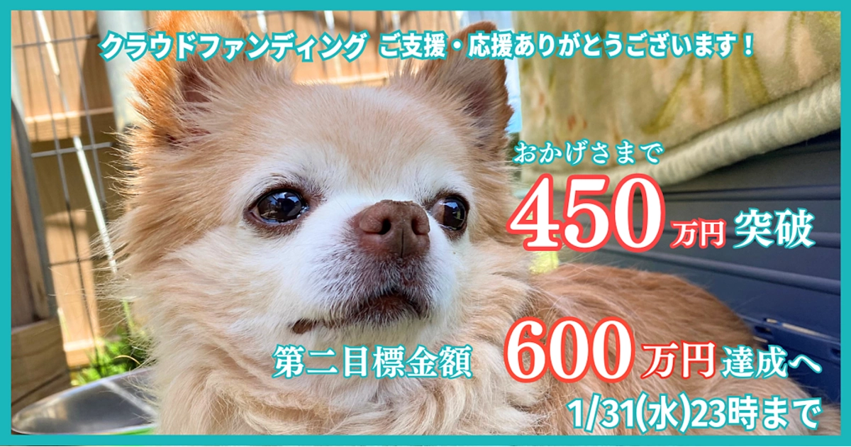【感謝】４５０万円突破しました！