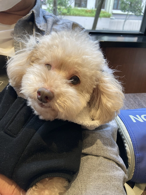 無事入金されました